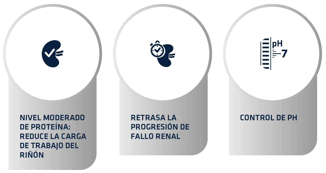 Advance Feline VD Renal Failure 4 Advance Feline VD Renal Failure - Imagen 4