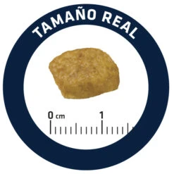 Advance Feline VD Renal Failure 11 Advance Feline VD Renal Failure -Productos Para Gatos 67753 5 5