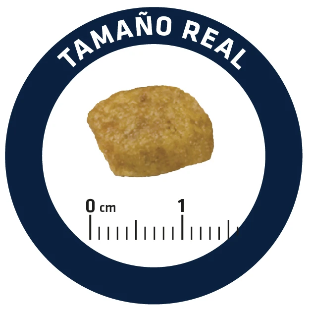 Advance Feline VD Renal Failure 5 Advance Feline VD Renal Failure - Imagen 5