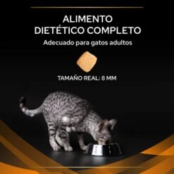 OM Obesity Management ST/OX -Productos Para Gatos 7613035159211 3 636a094be995c