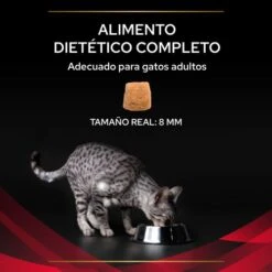 DM Diabetes Management ST/OX -Productos Para Gatos 7613035159822 3 63690d68ba84c
