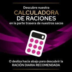 UR Urinary ST/OX 22 UR Urinary ST/OX -Productos Para Gatos 7613287587701 6 636a0d89d8da9