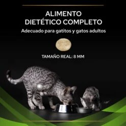 HA Hypoallergenic ST/OX -Productos Para Gatos 7613287597458 3 63690b43f2da4