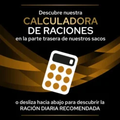 NF Renal Function ST/OX -Productos Para Gatos 7613287886347 7 636a0a2226190