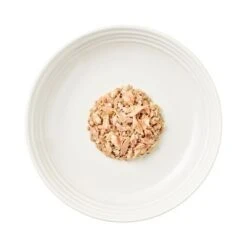 Encore En Latas 16 X 70 G Comida Húmeda Para Gatos -Productos Para Gatos 82373 encore cattin oceanfish hs 03 8