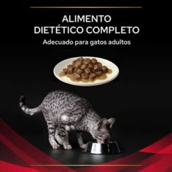 Purina Pro Plan Feline DM ST/OX Diabetes Management Veterinary Diets Con Pollo -Productos Para Gatos 8445290046048 4 textura 7