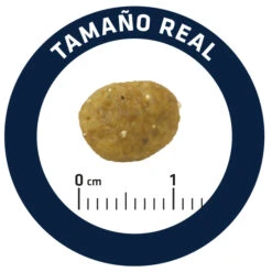 Advance Gastroenteric Sensitive -Productos Para Gatos 85801 5 5