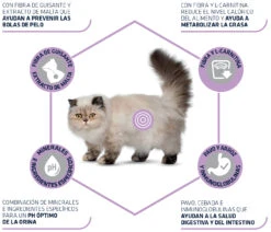 Advance Cat Sterilized Hairball -Productos Para Gatos 85802 3 2