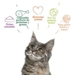 Yarrah Bio 48 X 100 G En Tarrinas Para Gatos - Pack Ahorro 36 Yarrah Bio 48 X 100 G En Tarrinas Para Gatos - Pack Ahorro -Productos Para Gatos 9024 cat alu yarrah chunks fish 100g es 8714265973512 2 4