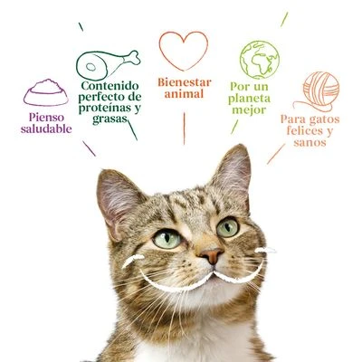 Yarrah Bio 48 X 100 G En Tarrinas Para Gatos - Pack Ahorro 19 Yarrah Bio 48 X 100 G En Tarrinas Para Gatos - Pack Ahorro - Imagen 19