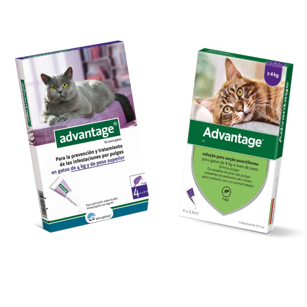 Advantage Pipetas Para Gatos +4 Kg (80ml) 1 Advantage Pipetas Para Gatos +4 Kg (80ml)