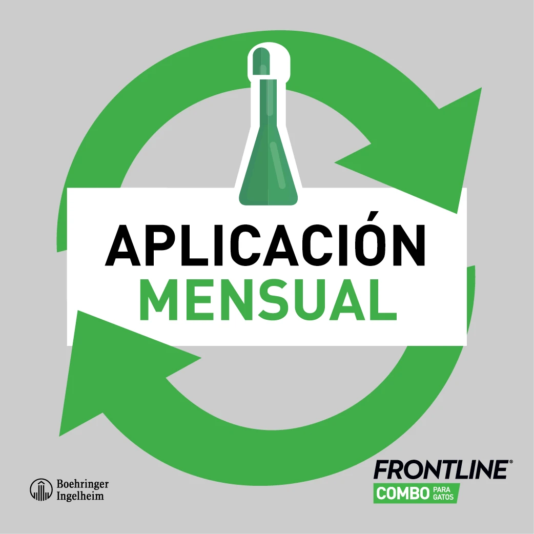 Frontline Pipetas Combo Spot-On Para Gatos 5 Frontline Pipetas Combo Spot-On Para Gatos - Imagen 5