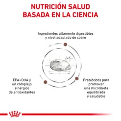 ROYAL CANIN VD Feline Hepatic -Productos Para Gatos BENEFICIOS 1 62fce0faccab1