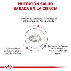 ROYAL CANIN VD Feline Mobility 11 ROYAL CANIN VD Feline Mobility -Productos Para Gatos BENEFICIOS 1 62fce5ad5310f