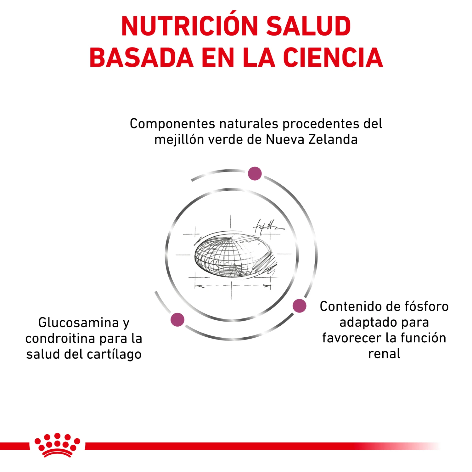 ROYAL CANIN VD Feline Mobility 3 ROYAL CANIN VD Feline Mobility - Imagen 3