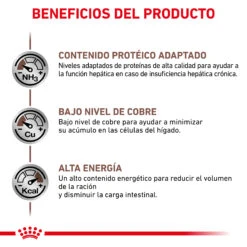 ROYAL CANIN VD Feline Hepatic -Productos Para Gatos BENEFICIOS 2 62fce0fbcef43