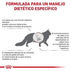 ROYAL CANIN VD Feline Hepatic -Productos Para Gatos BENEFICIOS 62fce0fdec473
