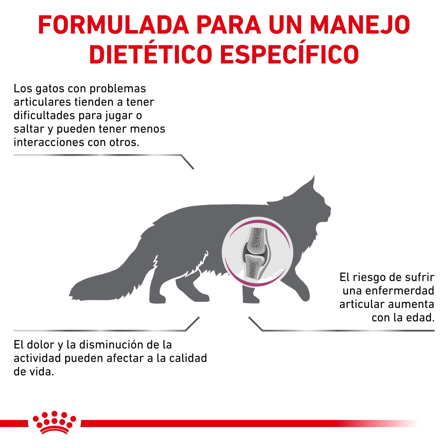 ROYAL CANIN VD Feline Mobility 5 ROYAL CANIN VD Feline Mobility - Imagen 5
