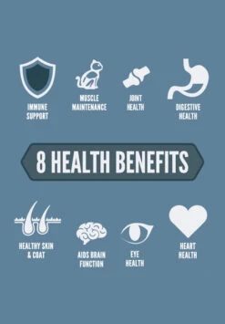 Orijen Pienso Guardian 8 De Pollo Para Gatos 10 Orijen Pienso Guardian 8 De Pollo Para Gatos -Productos Para Gatos Guardian2 62a1fd7c14d8c