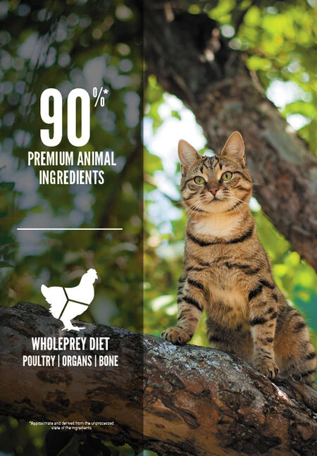 Orijen Pienso Guardian 8 De Pollo Para Gatos 5 Orijen Pienso Guardian 8 De Pollo Para Gatos - Imagen 5