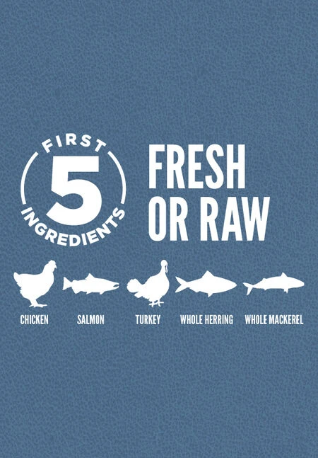 Orijen Pienso Guardian 8 De Pollo Para Gatos 2 Orijen Pienso Guardian 8 De Pollo Para Gatos - Imagen 2