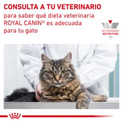 ROYAL CANIN VD Feline Hepatic -Productos Para Gatos INFO 62fce1011b025