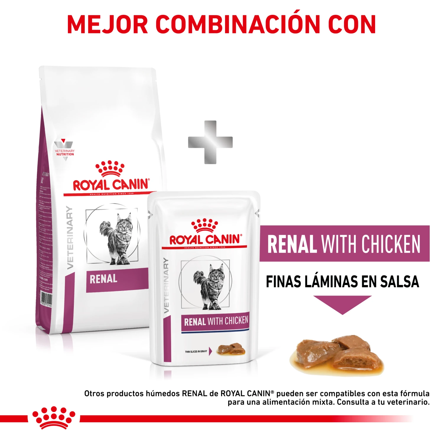 ROYAL CANIN VD Feline Renal 9 ROYAL CANIN VD Feline Renal - Imagen 9