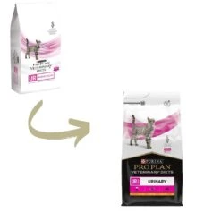 UR Urinary ST/OX 24 UR Urinary ST/OX -Productos Para Gatos PPVD 628d05d5c4a5b