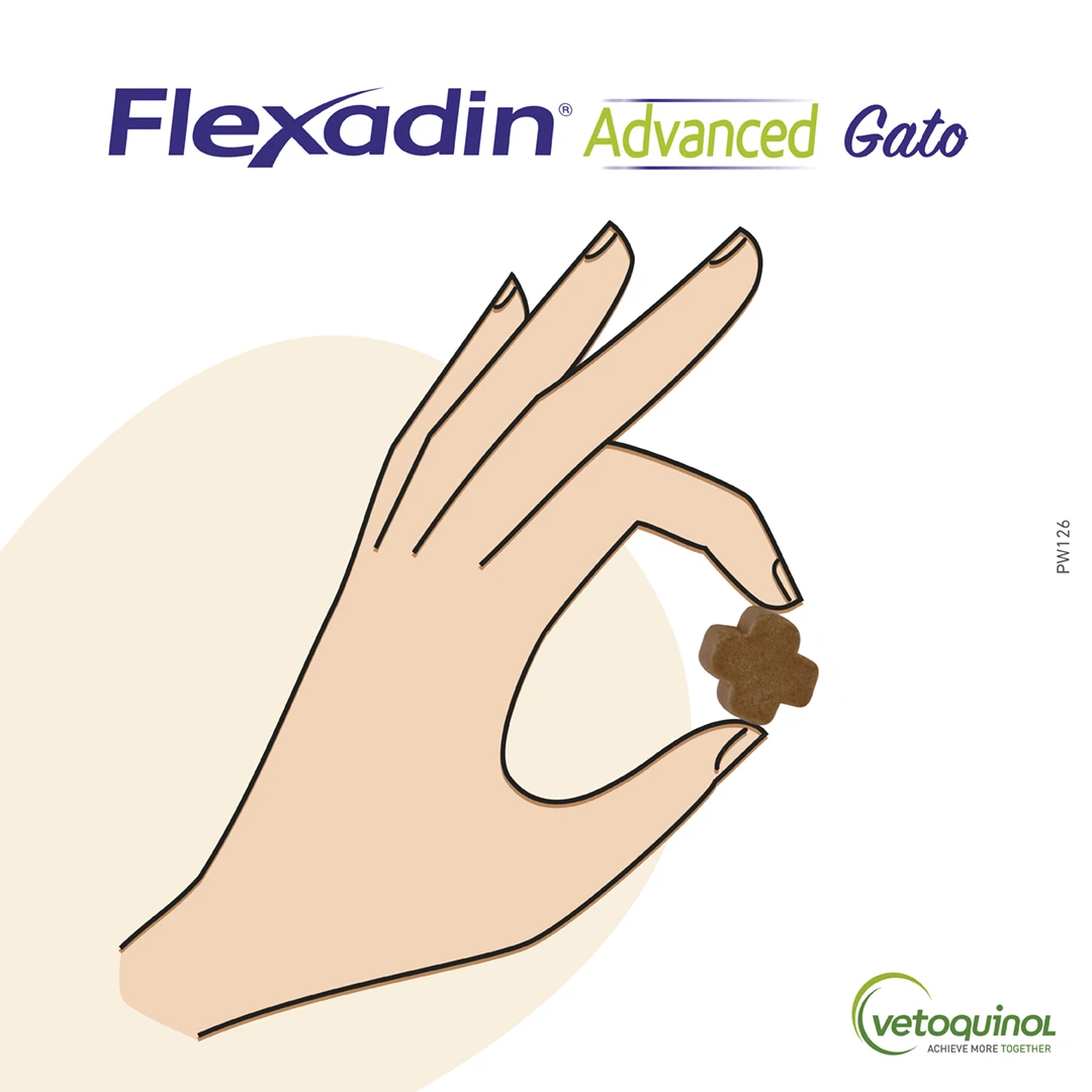 Vetoquinol Flexadin Advanced Gato 3 Vetoquinol Flexadin Advanced Gato - Imagen 3
