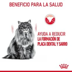 ROYAL CANIN Oral Care Pienso De Gato Adulto Con Sensibilidad Oral -Productos Para Gatos RC FCN DentalCare CV 1 es ES 649d6bfb758b1