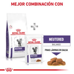 ROYAL CANIN Pienso Neutered Satiety Balance -Productos Para Gatos RC VET DRY CatNeutSatBal CV 8 es ES 62fce302b93ea