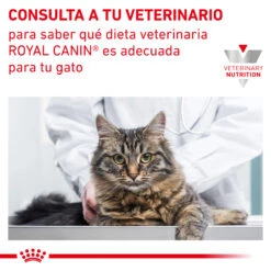 ROYAL CANIN Pienso Neutered Satiety Balance -Productos Para Gatos RC VET DRY CatNeutSatBal CV 9 es ES 62fce304422d8