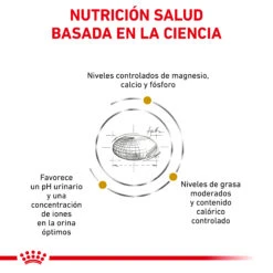 ROYAL CANIN VD Feline Urinary Moderate Calorie -Productos Para Gatos RC VET DRY CatUrinarySOMC CV Eretailkit 2 es ES 62fce4ac3cb16