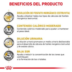 ROYAL CANIN VD Feline Urinary Moderate Calorie -Productos Para Gatos RC VET DRY CatUrinarySOMC CV Eretailkit 3 es ES 62fce4ad7c940
