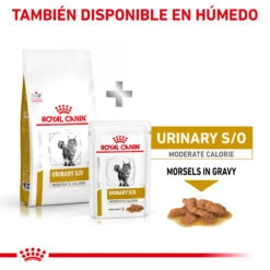 ROYAL CANIN VD Feline Urinary Moderate Calorie -Productos Para Gatos RC VET DRY CatUrinarySOMC CV Eretailkit 6 es ES 62fce4b102b1f