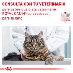 ROYAL CANIN VD Feline Urinary Moderate Calorie -Productos Para Gatos RC VET DRY CatUrinarySOMC CV Eretailkit 7 es ES 62fce4b1f1879