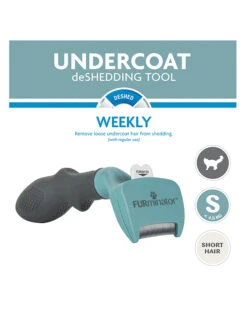 FURMINATOR Cepillo Para Gatos Pequeños De Pelo Corto -Productos Para Gatos TH32164 274979 620380d70711d