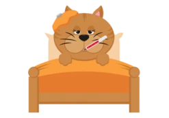 Suplemento Nutracéutico Para Gatos Multiva -Productos Para Gatos Viramax 636cc9a3a6471