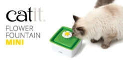 Catit Bebedero Fuente Flower Mini -Productos Para Gatos WEB CATIT 4 63766499342f1