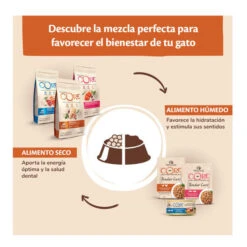 Wellness Core Adult Ocean Salmón Y Atún Pienso Para Gatos -Productos Para Gatos Wellness Core pienso gatos WEL10831 1