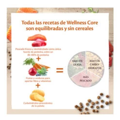 Wellness Core Adult Ocean Salmón Y Atún Pienso Para Gatos -Productos Para Gatos Wellness Core pienso gatos WEL10831 P 1
