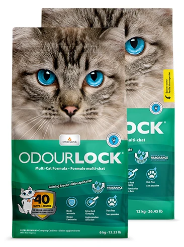 Arena OdourLock Brisa Calmante 2 Arena OdourLock Brisa Calmante - Imagen 2