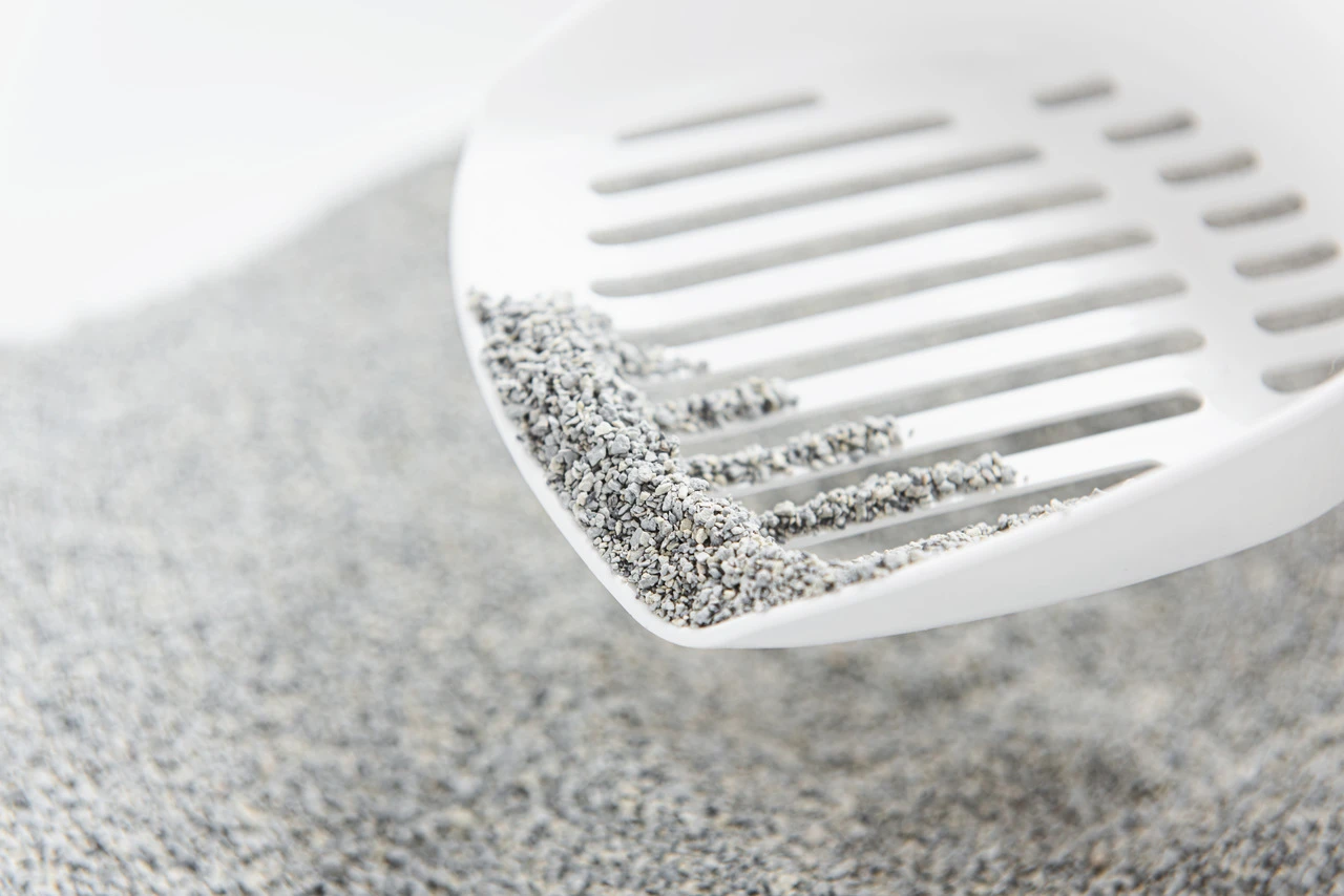 Arena OdourLock 2 Arena OdourLock - Imagen 2