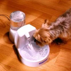 Bebedero Automático Original -Productos Para Gatos bebedero automatico drinkwell original fuente para perros