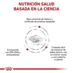 ROYAL CANIN Renal Select Feline 6 ROYAL CANIN Renal Select Feline -Productos Para Gatos benficios 1 626911236e6de