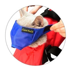 KRUUSE Bozal Veterinario De Nylon Para Gato -Productos Para Gatos bozal para gato 63cf95d996698