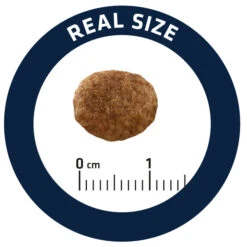 Advance Cat Urinary Stress 16 Advance Cat Urinary Stress -Productos Para Gatos cat urinary stress 5