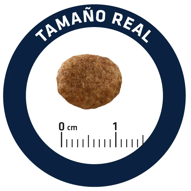 Advance Cat Urinary Stress 6 Advance Cat Urinary Stress - Imagen 6