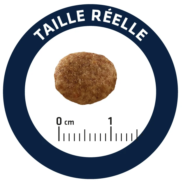 Advance Cat Urinary Stress 7 Advance Cat Urinary Stress - Imagen 7