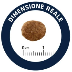 Advance Cat Urinary Stress 19 Advance Cat Urinary Stress -Productos Para Gatos cat urinary stress 8